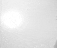 Showtime I Approve GIF by Tomorrow Television