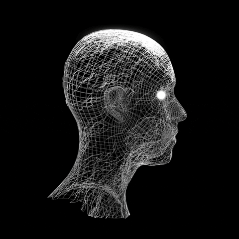 Head Flow GIF - Find & Share on GIPHY