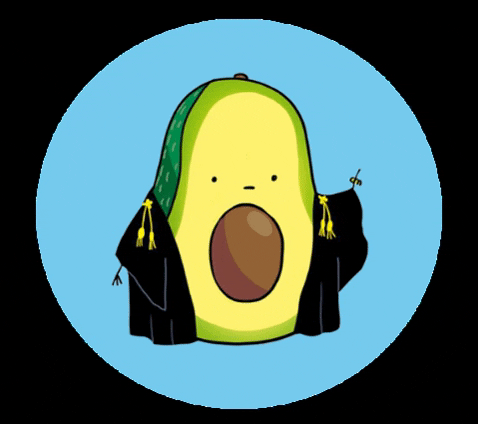 EKRA giphygifmaker avocado lawyer ekra GIF