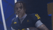 Go Blue Michigan Football GIF by Michigan Athletics