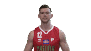 Brandt Legabasket Sticker by Pistoia Basket