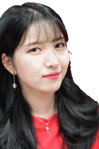 Wink Idol Sticker by koreadispatch