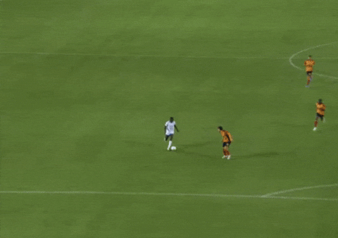 petrfrmel giphyupload GIF