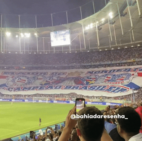 Ecbahia GIF
