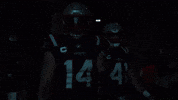 Football Walk Out GIF by New England Patriots