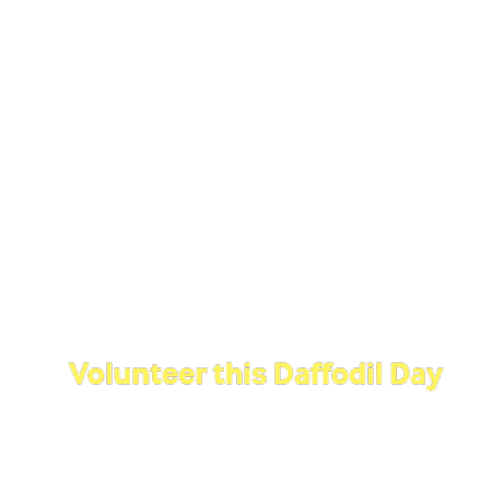 cancersocietywbop giphygifmaker giphyattribution daffodilday GIF