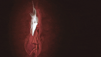 annacgilmore animation rotoscope annacgilmore GIF