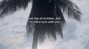 I Love You Relationship GIF