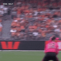 Babar Azam Catch GIF