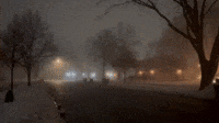 Fog Blankets Wintry Chicago Suburb