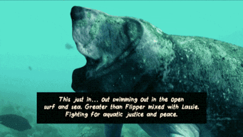 Basset Hound Water GIF by Four Rest Films