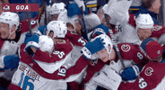 Excited Ice Hockey GIF by NHL