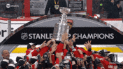 Happy Stanley Cup Playoffs GIF by NHL