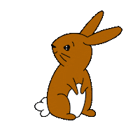 Hase Sticker by Seedamm-Center