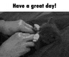 cute GIF