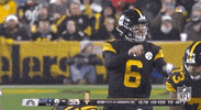 Regular Season Football GIF by NFL