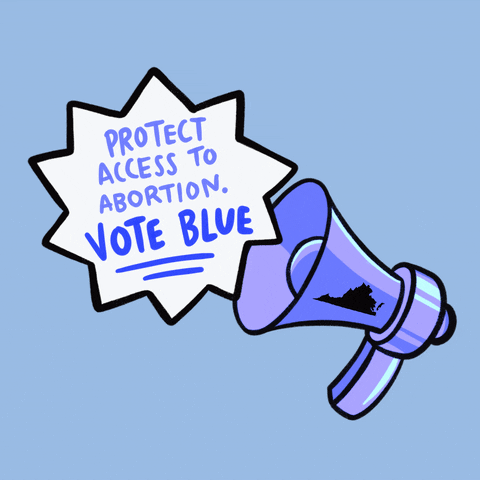 Voting Terry Mcauliffe GIF by Creative Courage