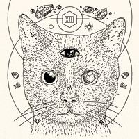 oh my god good luck GIF by zapatoverde