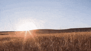 kansas GIF