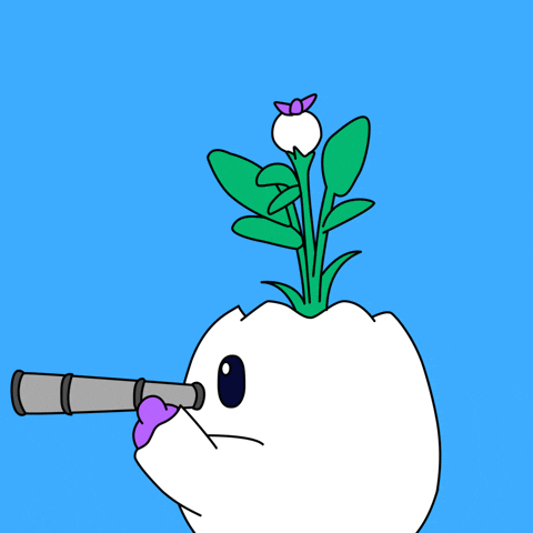 Where Are You Waiting GIF by Magic Eden