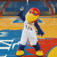 Mascots Dancing GIF by University of Kansas