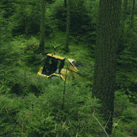 Forrest GIF by HYDREMA