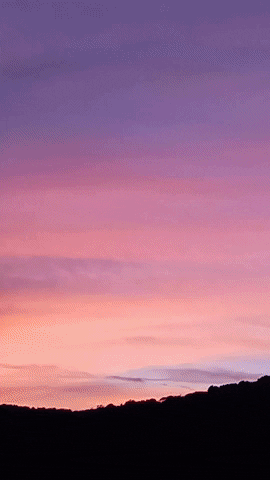 Simongip giphygifmaker GIF