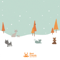Save Them All Merry Christmas GIF by Best Friends Animal Society