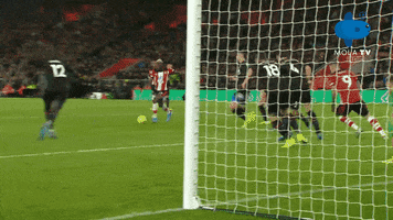 Southampton GIF by MolaTV