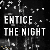 Tuaca party celebrate drink club GIF