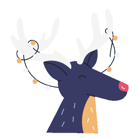 snfcc_official giphyupload christmas xmas holidays Sticker