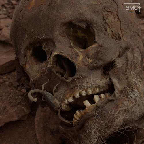 Native American Television GIF by AMC Networks