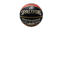 Spalding_Brasil basketball spalding spaldingbrasil Sticker