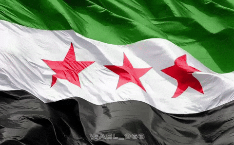 Syria Syrien GIF