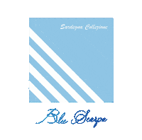 Bluscarpasardegna Sticker by Blu Scarpa