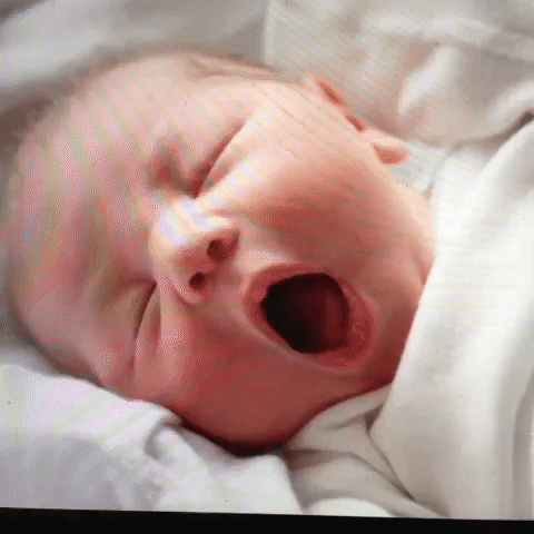 GIF by andymilonakis