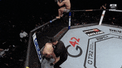 Conor Mcgregor Ufc GIF by Jomboy Media
