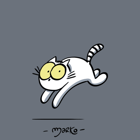 cat GIF by marko