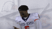 Carson Newman Football GIF by Carson-Newman Athletics