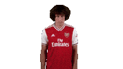 arsenal football soccer celebration celebrate Sticker