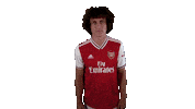 arsenal football soccer celebration celebrate Sticker