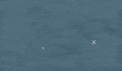 Elton Jewel Box GIF by Elton John