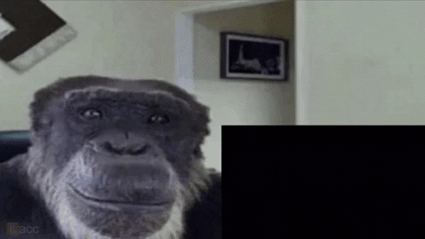 SuckMyDickFromTheBack giphygifmaker water lets go swimming GIF