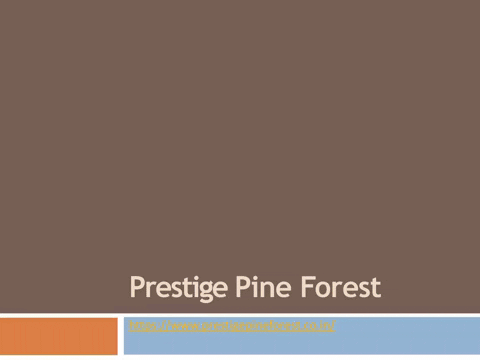 pineforestplan giphyupload prestige pine forest prestige pine forest price prestige pine forest location GIF