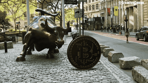droppinshorts giphyupload crypto bitcoin nyc GIF