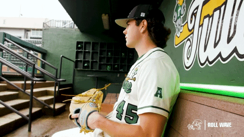 College Baseball Blake GIF by GreenWave