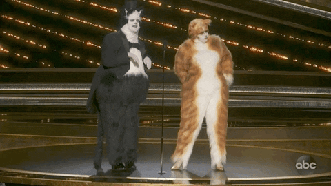 James Corden Cats GIF by The Academy Awards