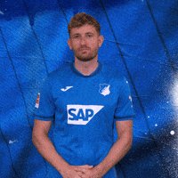 Not In My House Sport GIF by TSG Hoffenheim