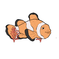Animation Fish Sticker