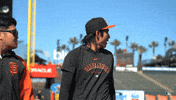 Giants Baseball GIF by San Francisco Giants